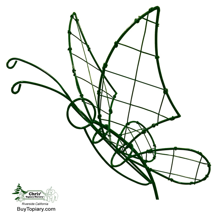 Butterfly Topiary Frame