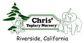 Chris' Topiary Nursery